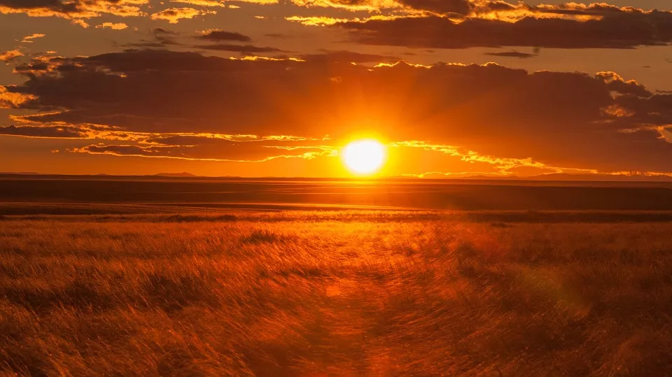 sol nascente