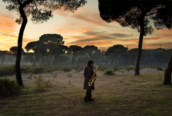 Sax Safari