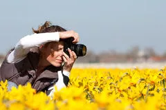 mulher fotografando flores amarelas