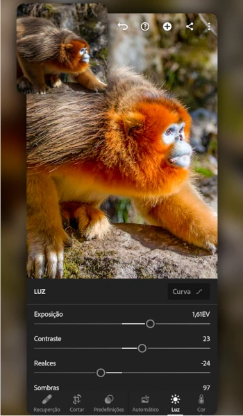 Adobe Lightroom - Edições Simplificadas