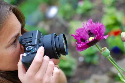 fotógrafo iniciante