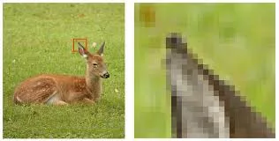 pixel fotografia