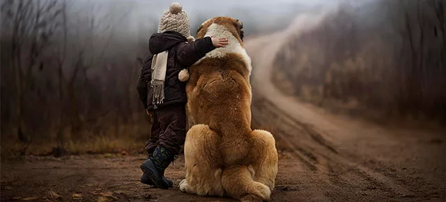 elena-shumilova01