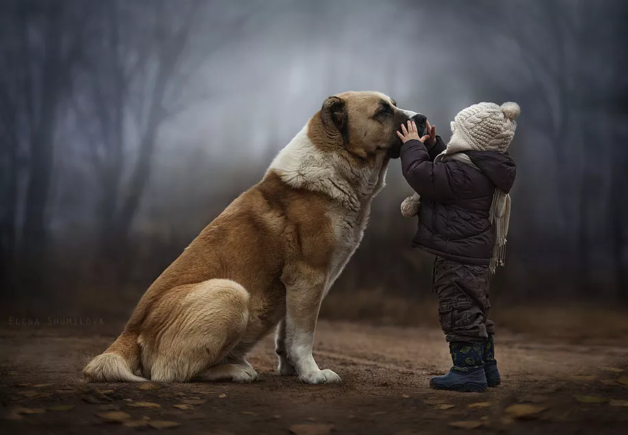 elena-shumilova03