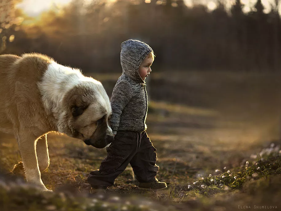 elena-shumilova22