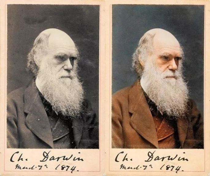 Charles Darwin 1874