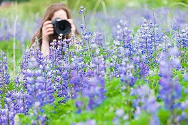 mulher fotografando flores