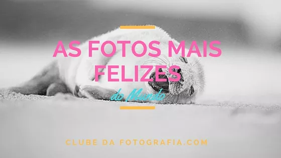 As Fotos Mais Felizes