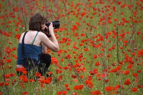 fotogranfando flores