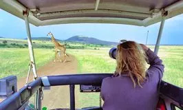safari africa girafa