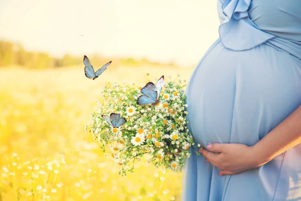 mulher grávida em edição com borboletas